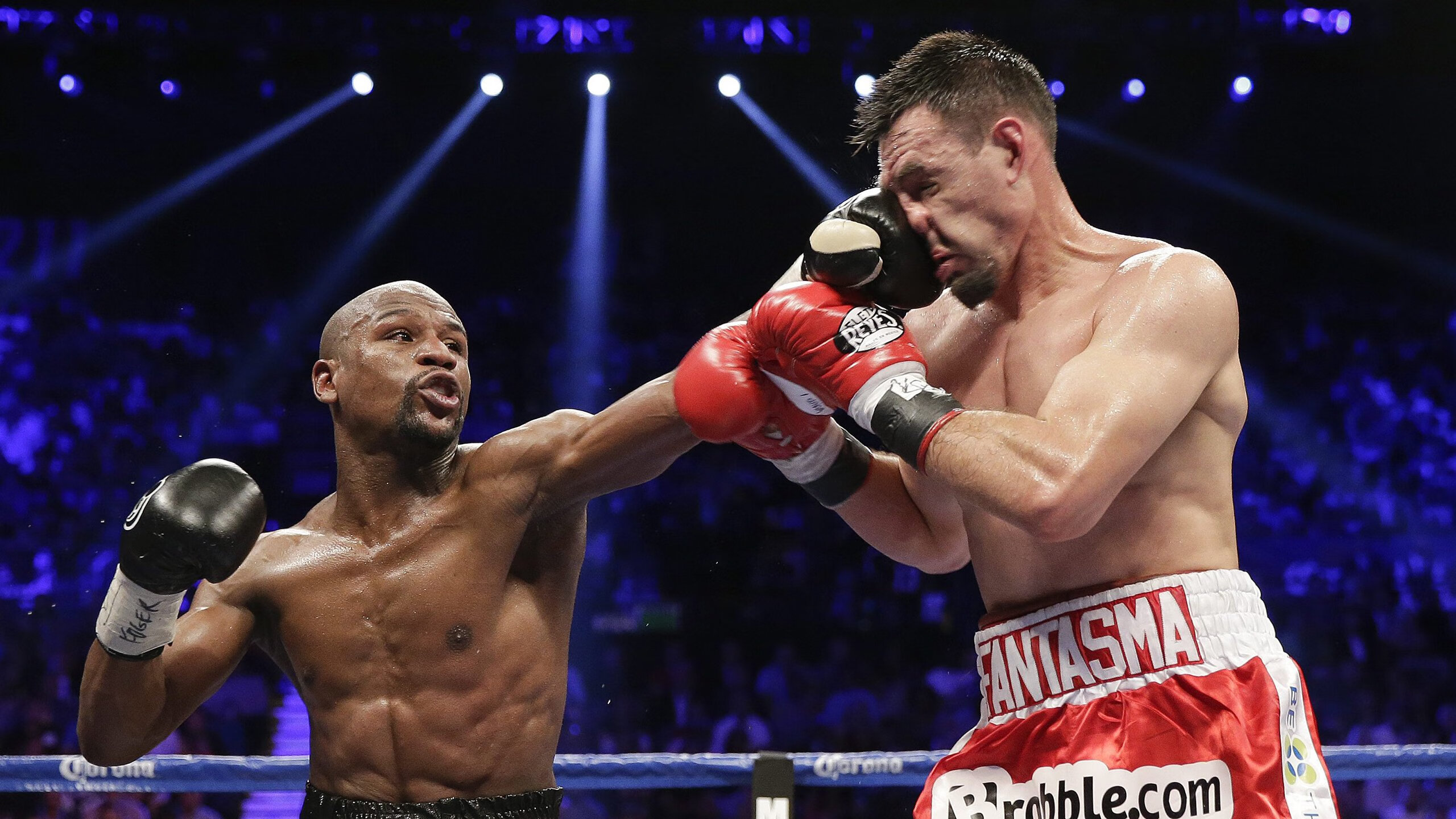 青少年体育赛事裁判培训，青少年体育锦标赛